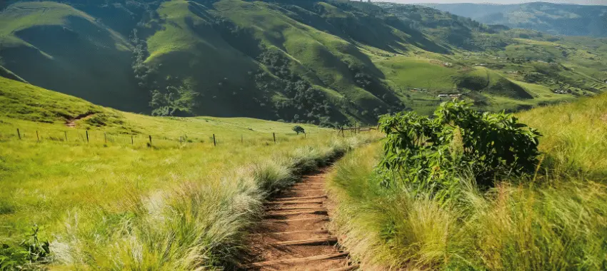 Landscape Rendering